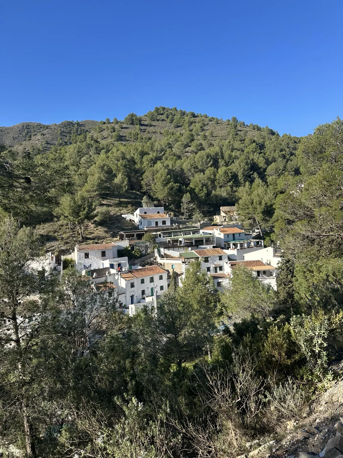 Frigiliana village business opportunities